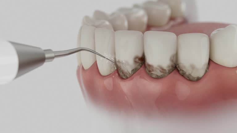 Reliable Dental contractor in Port Richey, FL by Dentist Open Now